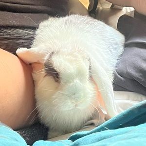 Meet your Posher, Jeonna